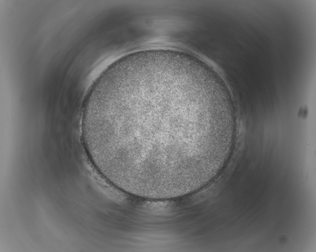 X0000113941415200911061231