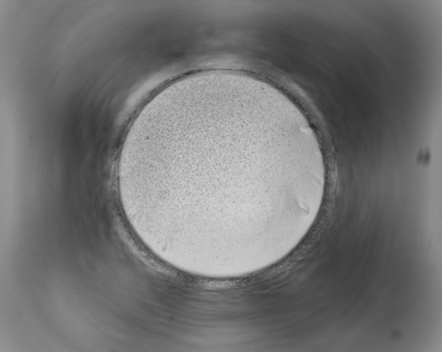 X0000113941416200911061231