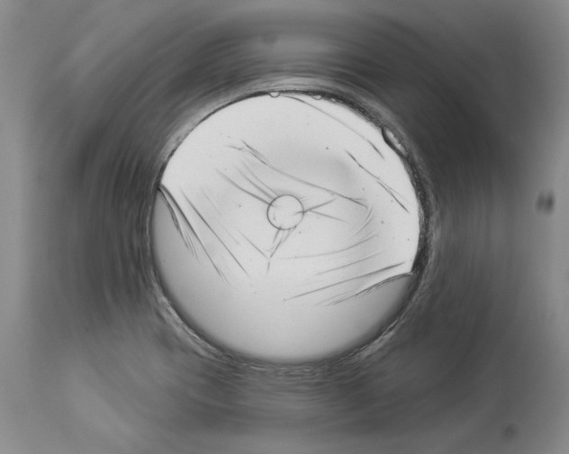 X0000113941417200911061231
