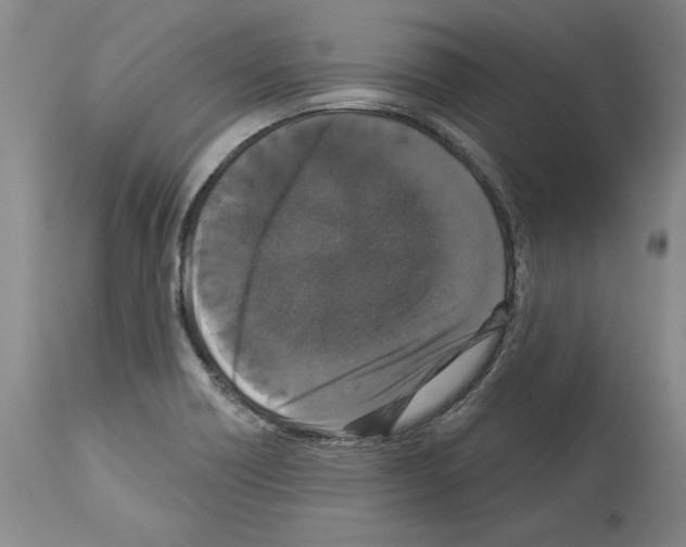 X0000113941418200911061231