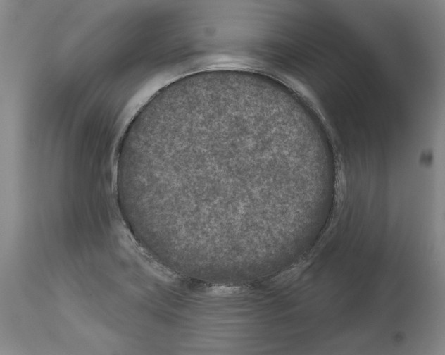 X0000113941419200911061231