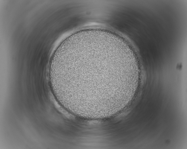 X0000113941421200911061231