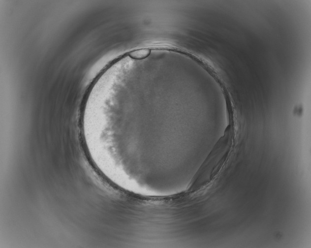 X0000113941422200911061231
