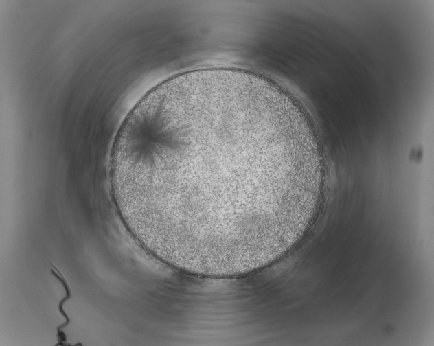 X0000113941423200911061231