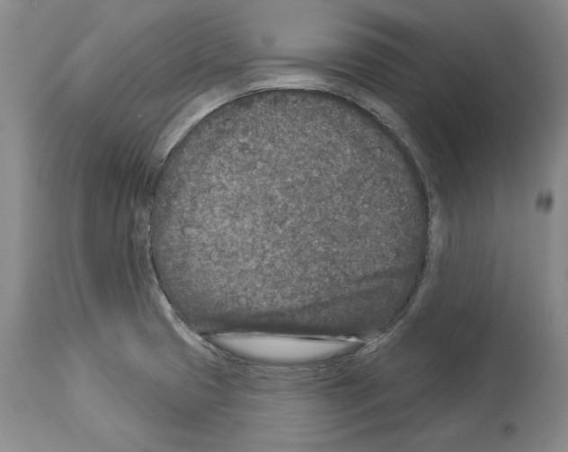 X0000113941425200911061231