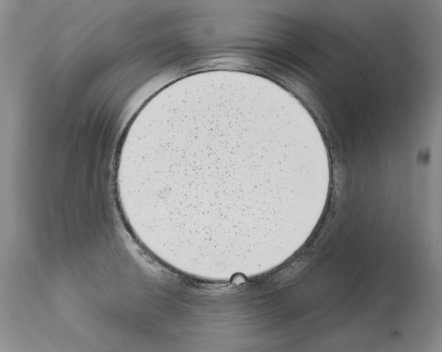 X0000113941426200911061231