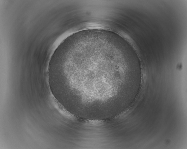 X0000113941427200911061231