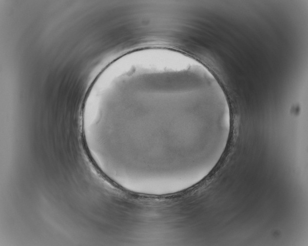 X0000113941428200911061231