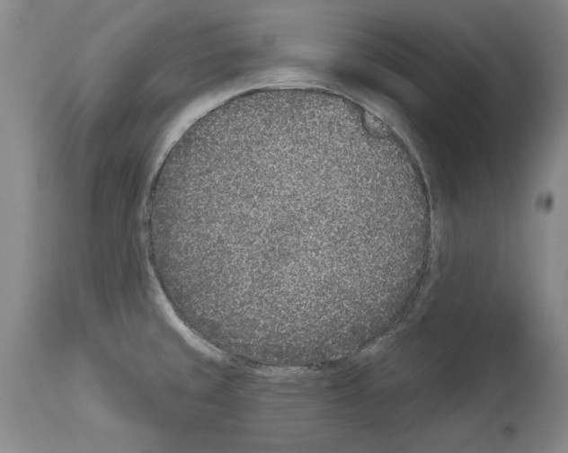 X0000113941429200911061231