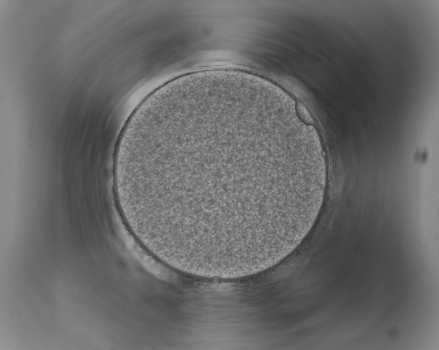 X0000113941431200911061231