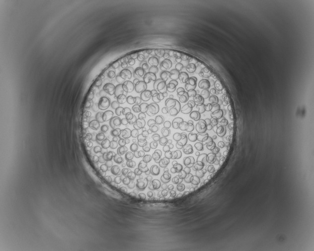 X0000113941432200911061231