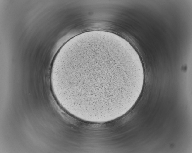 X0000113941434200911061231
