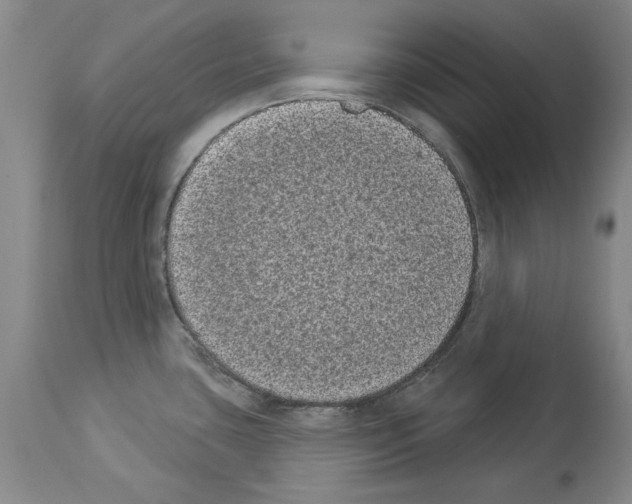 X0000113941435200911061231