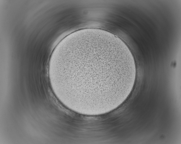 X0000113941436200911061231