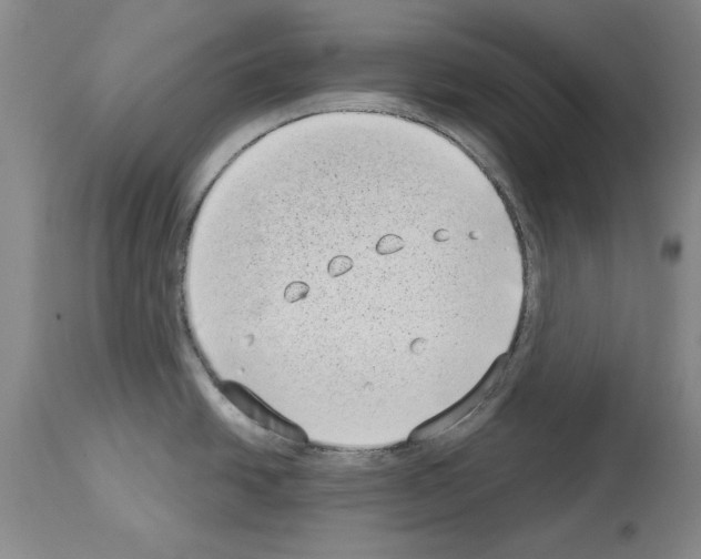 X0000113941438200911061231