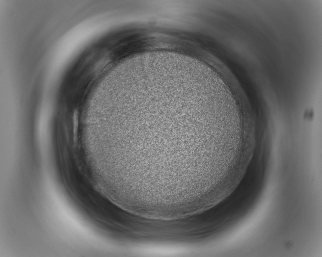 X0000113941439200911061231