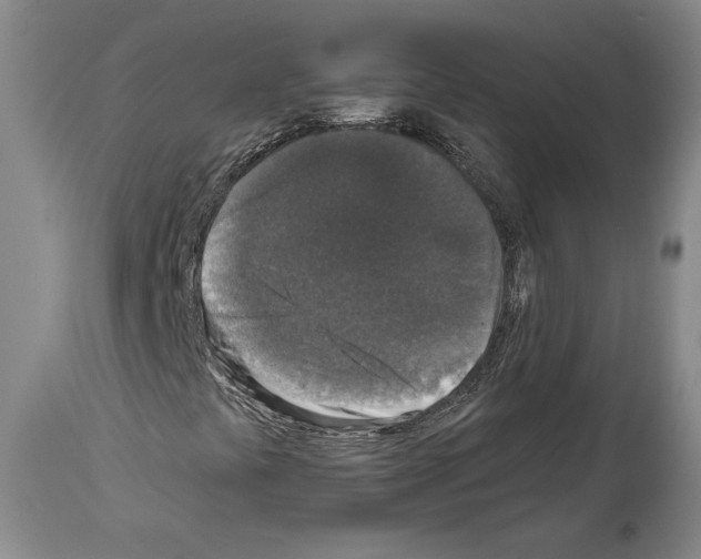 X0000113941441200911061231