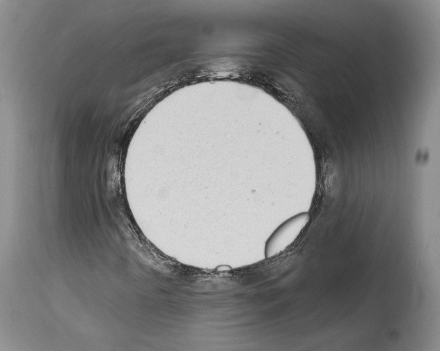 X0000113941442200911061231