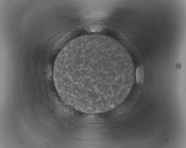 X0000113941443200911061230