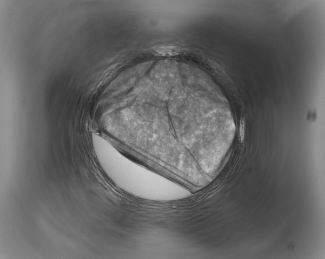 X0000113941444200911061230