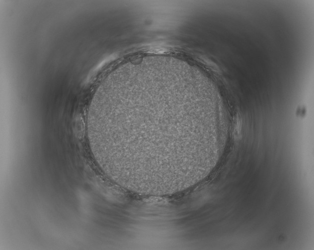 X0000113941446200911061230