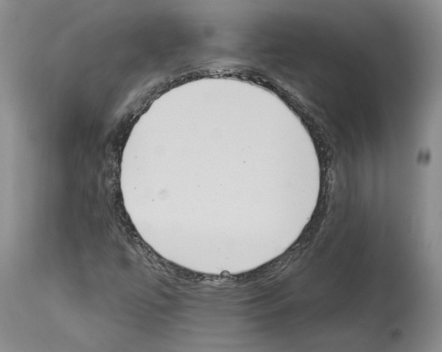 X0000113941447200911061230