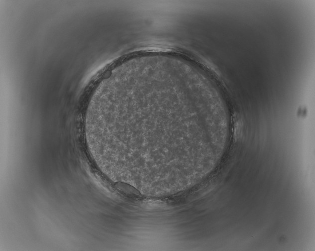 X0000113941448200911061230