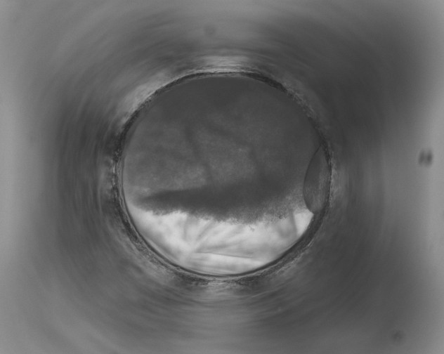 X0000113941449200911061230