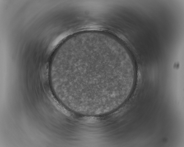 X0000113941450200911061230