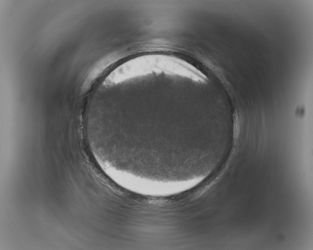 X0000113941453200911061230