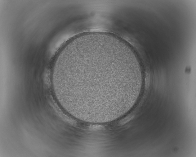 X0000113941454200911061230