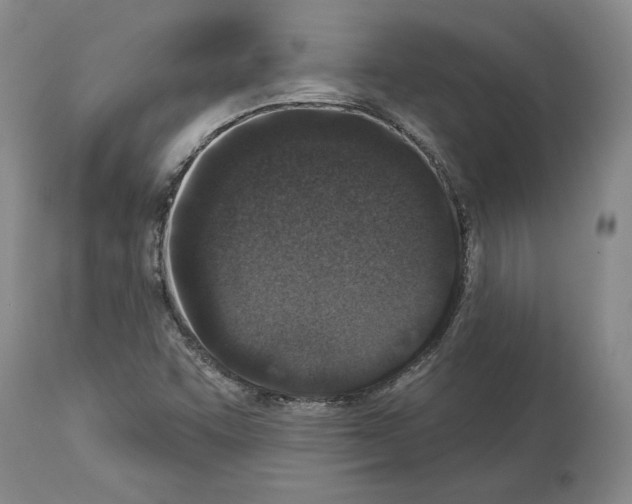 X0000113941455200911061230