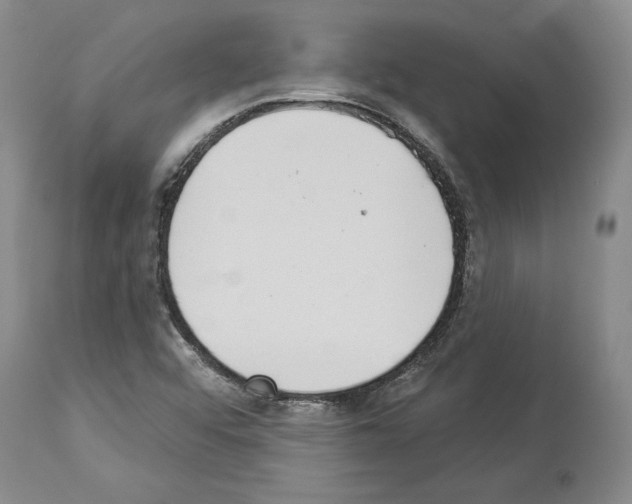 X0000113941456200911061230