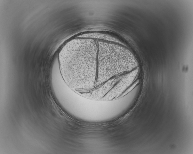 X0000113941457200911061230