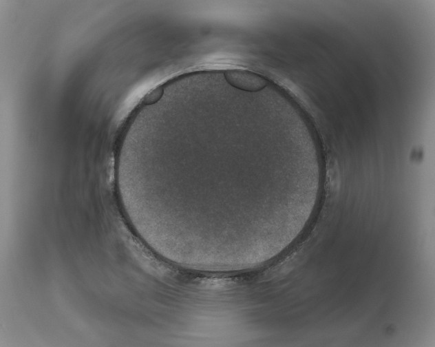 X0000113941461200911061230