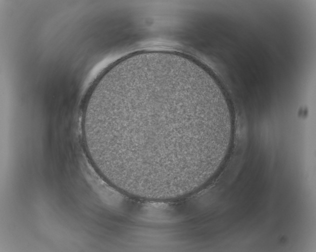 X0000113941462200911061230