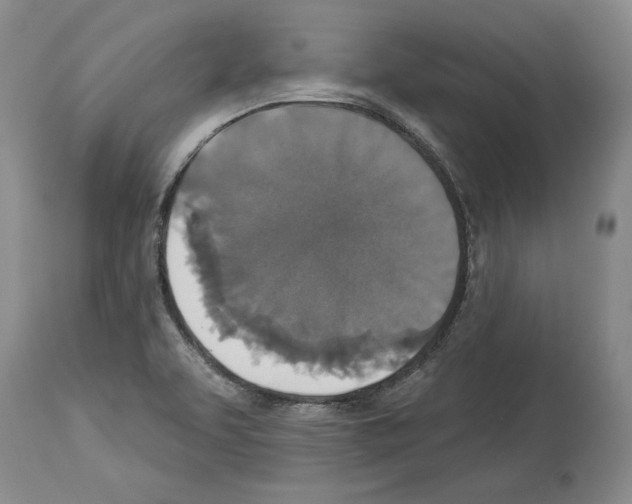 X0000113941463200911061230
