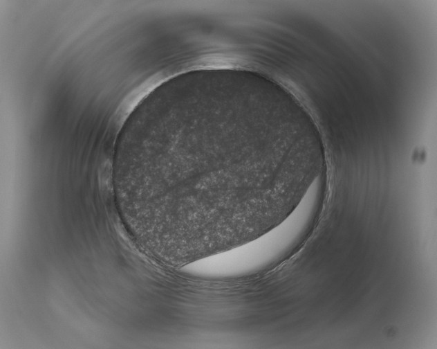 X0000113941465200911061230