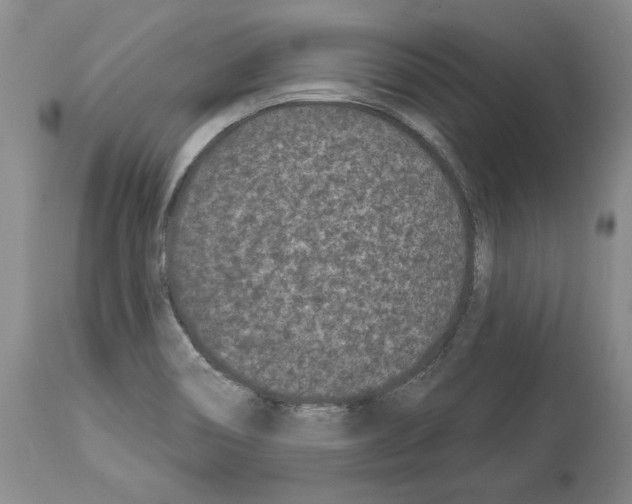 X0000113941466200911061230