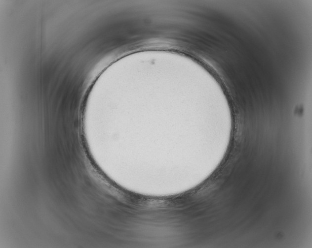X0000113941467200911061230
