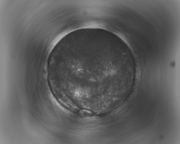X0000113941468200911061230