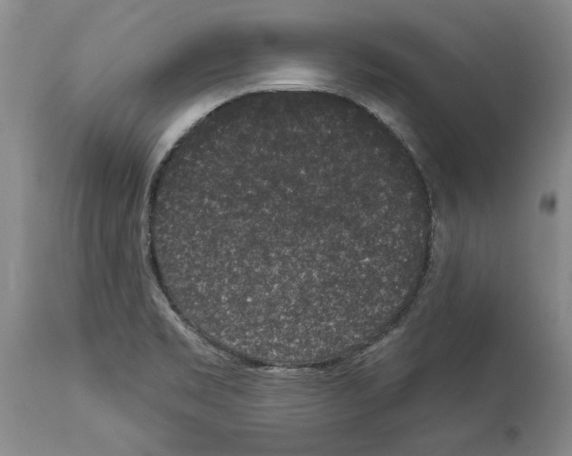X0000113941469200911061230