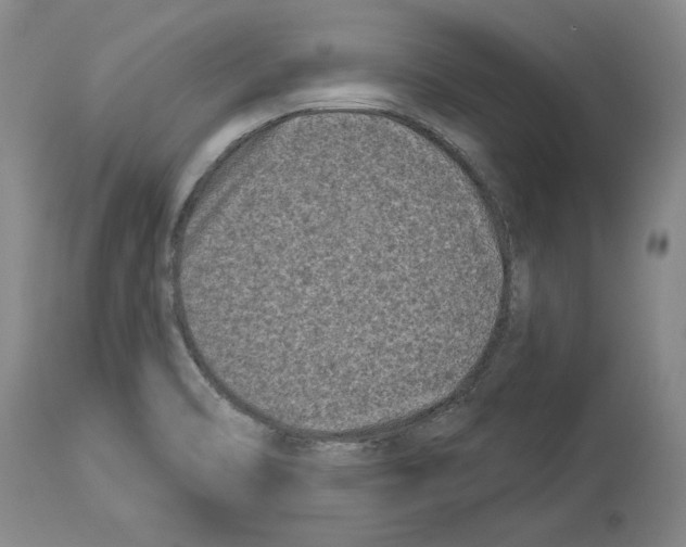 X0000113941470200911061230