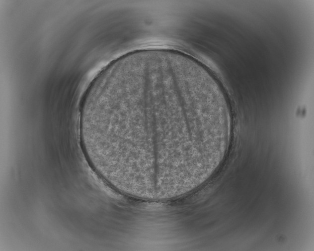 X0000113941472200911061230