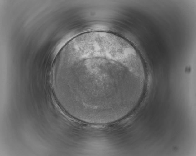 X0000113941473200911061230