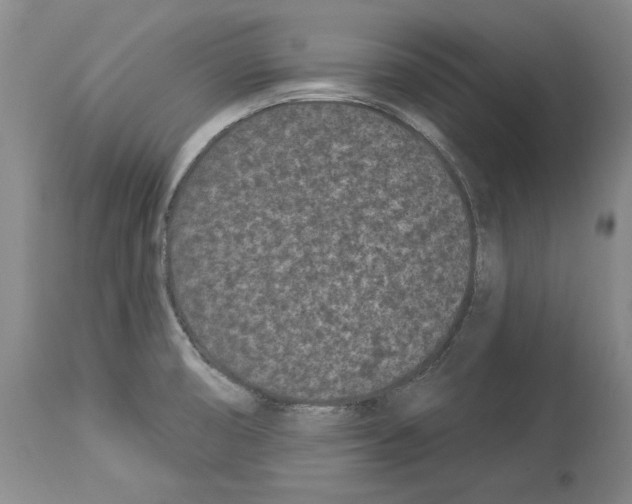 X0000113941474200911061230