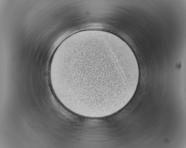 X0000113941475200911061230