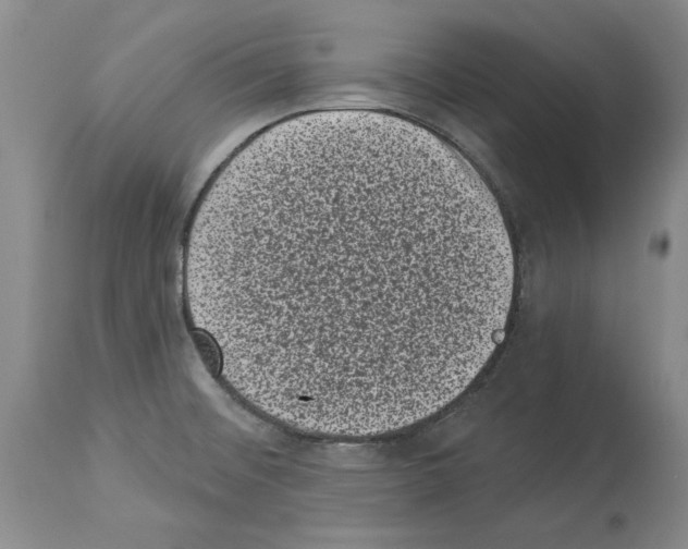 X0000113941476200911061230