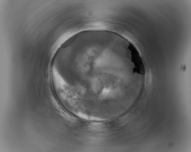 X0000113941477200911061230