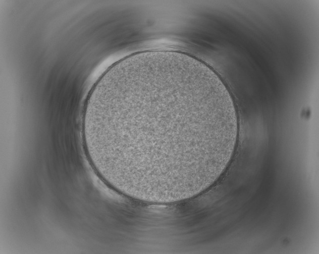 X0000113941478200911061230